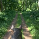 Horse Riding at Croftjane