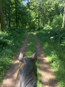 Horse Riding at Croftjane